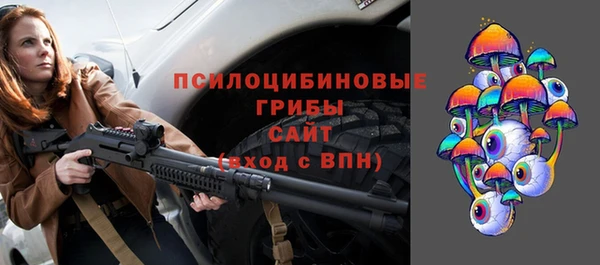 стаф Алексин