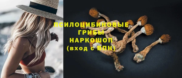 стаф Алексин