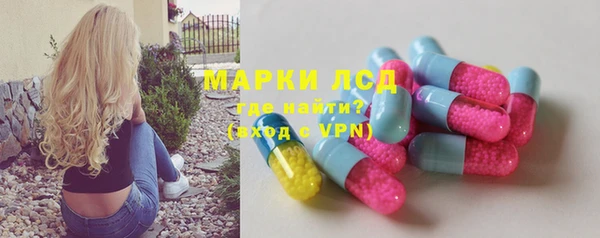 стаф Алексин