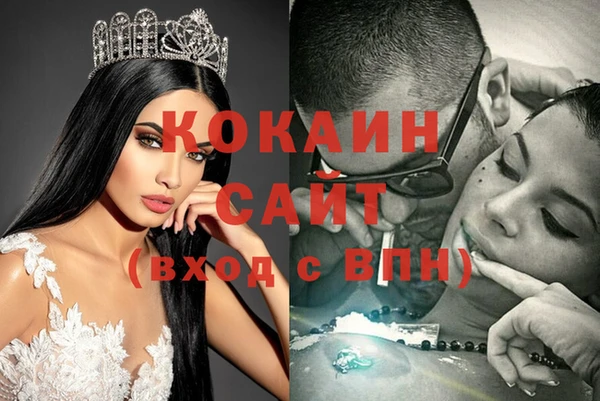 дживик Алзамай