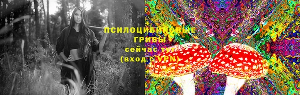 стаф Алексин
