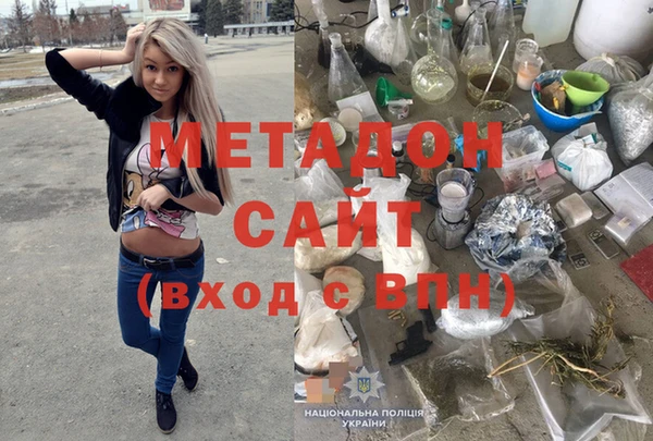 стаф Алексин