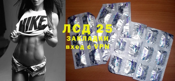 стаф Алексин