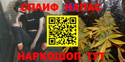 сатива Кандалакша