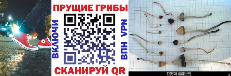 Псилоцибиновые грибы MAGIC MUSHROOMS  Нововоронеж 