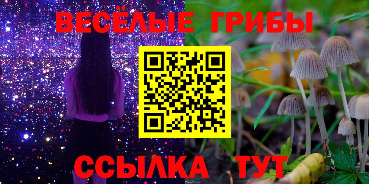 Нововоронеж  Галлюциногенные грибы Psilocybe  Вход с VPN  Галлюциногенные грибы ЛСД 